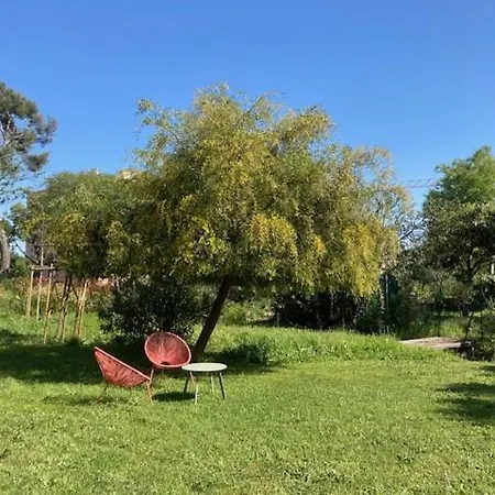 Appartement Un Jardin Dans La La Ciotat